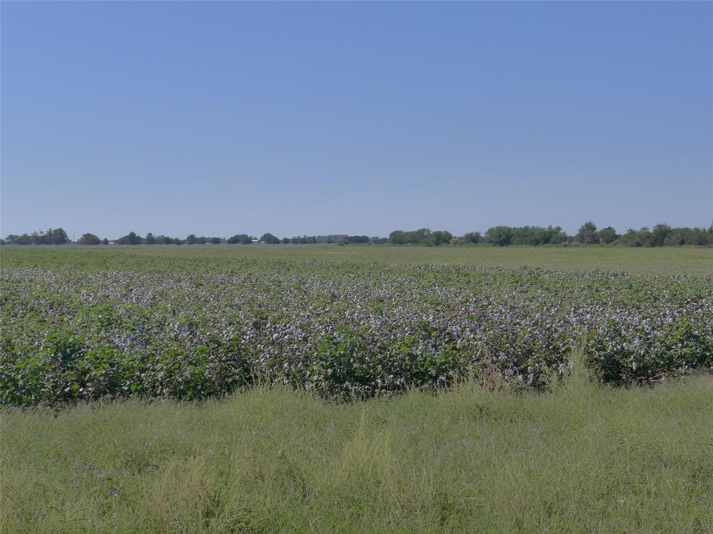 TBD Buls Road, East Bernard, Texas 77435, ,Country Homes/acreage,For Sale,Buls,69504940