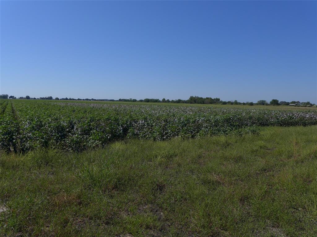 TBD Buls Road, East Bernard, Texas 77435, ,Country Homes/acreage,For Sale,Buls,69504940
