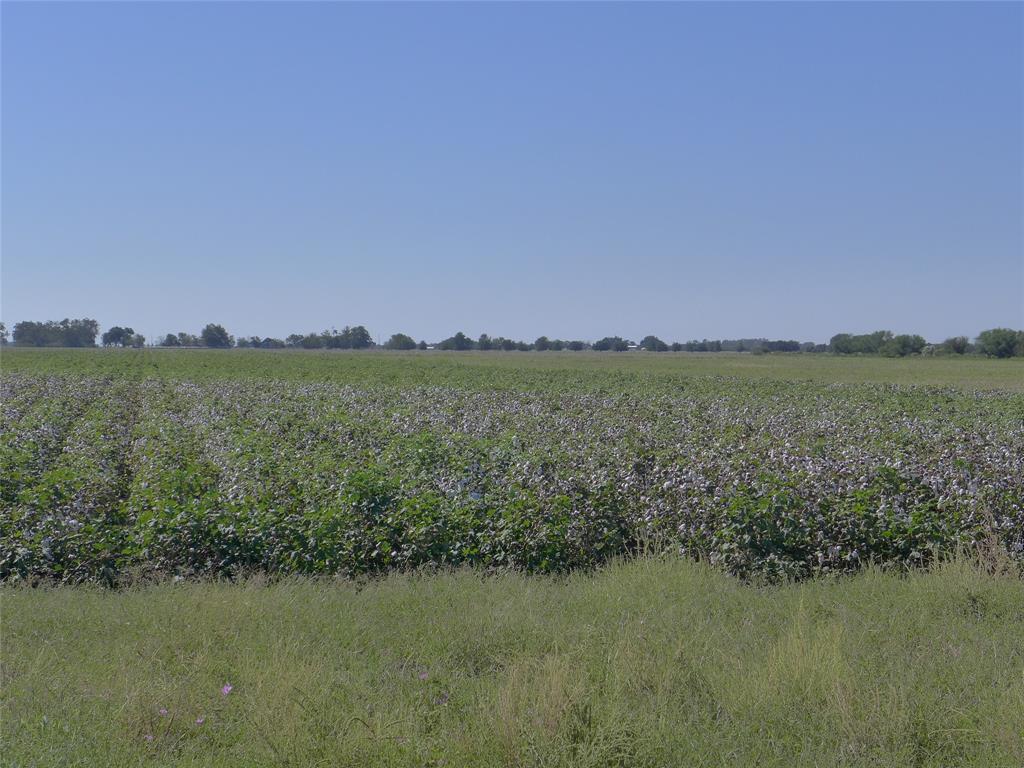 TBD Buls Road, East Bernard, Texas 77435, ,Country Homes/acreage,For Sale,Buls,69504940