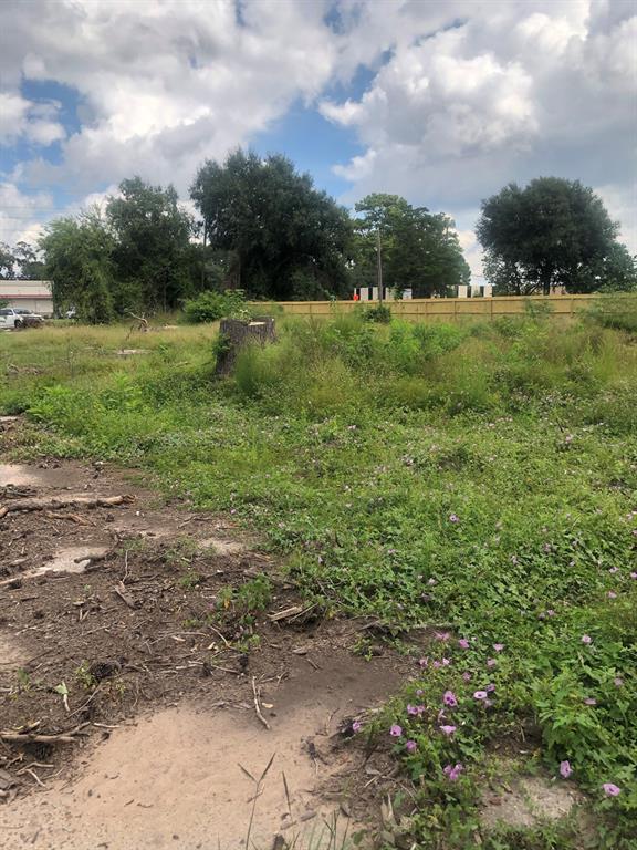 10519 Grant Road, Houston, Texas 77070, ,Lots,For Sale,Grant,71945085