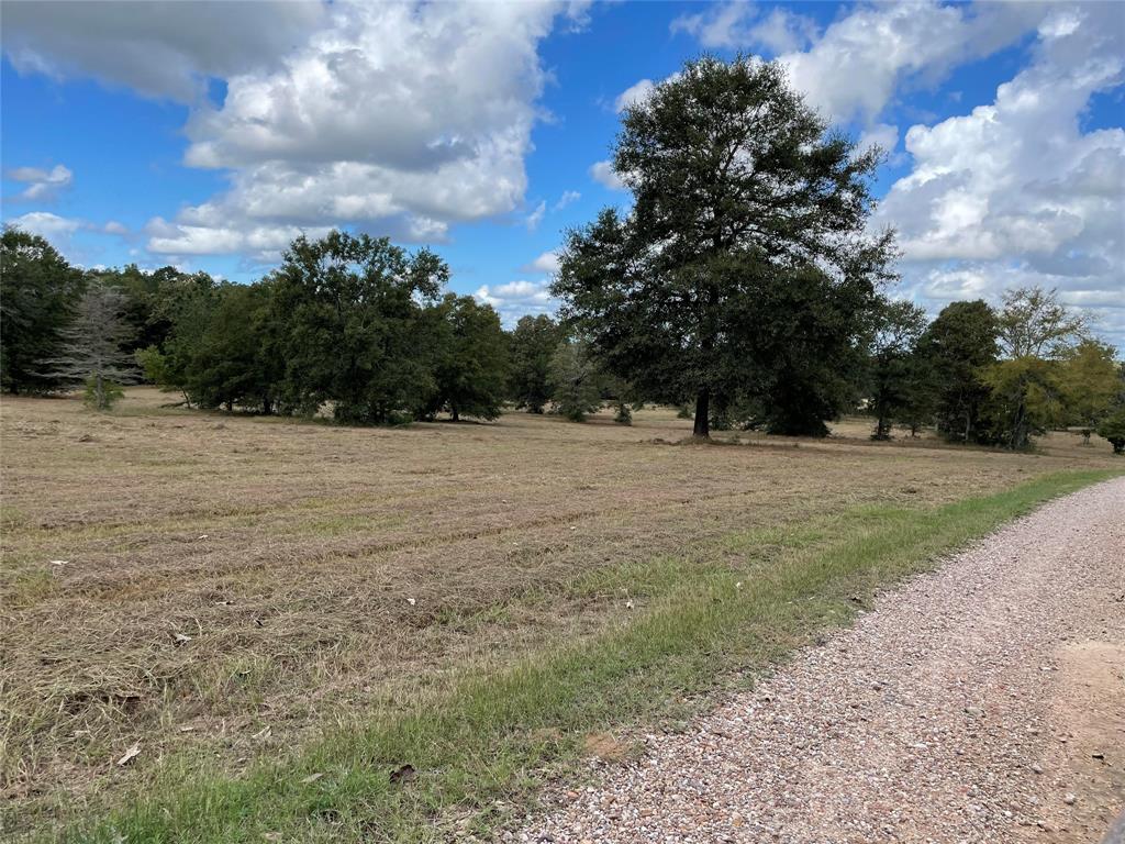 10890 2 Fm 830 Road, Willis, Texas 77318, 3 Bedrooms Bedrooms, 10 Rooms Rooms,2 BathroomsBathrooms,Country Homes/acreage,For Sale,Fm 830,73801568