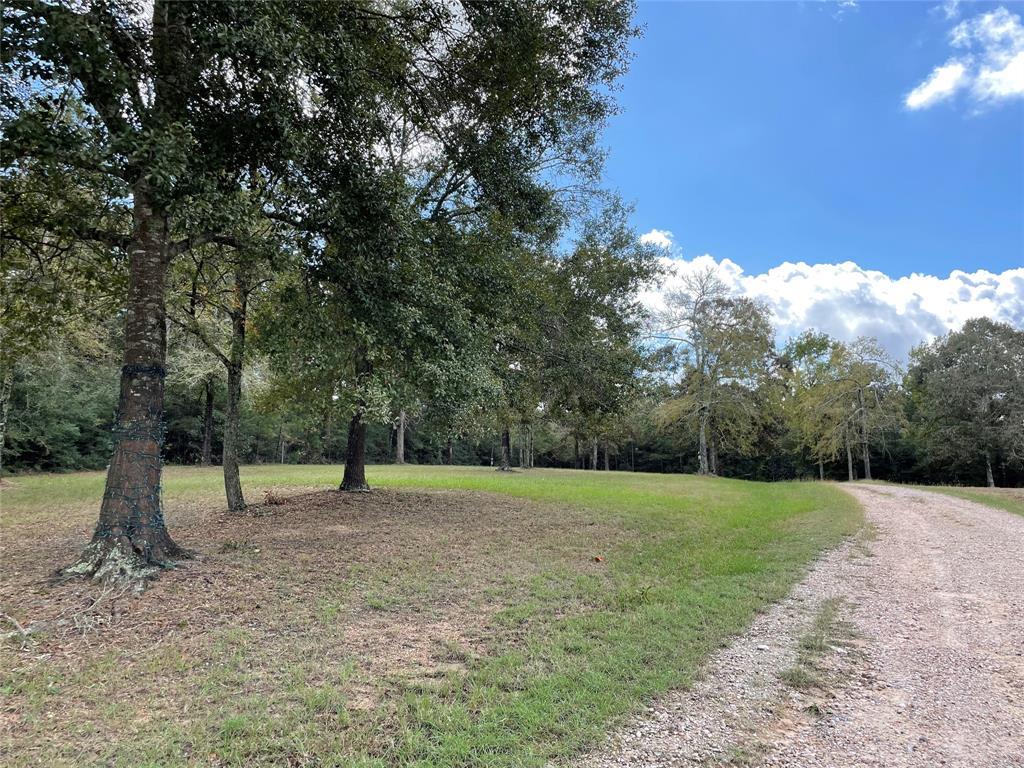 10890 2 Fm 830 Road, Willis, Texas 77318, 3 Bedrooms Bedrooms, 10 Rooms Rooms,2 BathroomsBathrooms,Country Homes/acreage,For Sale,Fm 830,73801568