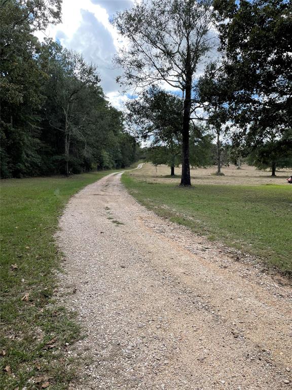 10890 2 Fm 830 Road, Willis, Texas 77318, 3 Bedrooms Bedrooms, 10 Rooms Rooms,2 BathroomsBathrooms,Country Homes/acreage,For Sale,Fm 830,73801568