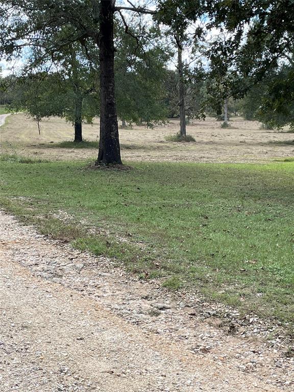 10890 2 Fm 830 Road, Willis, Texas 77318, 3 Bedrooms Bedrooms, 10 Rooms Rooms,2 BathroomsBathrooms,Country Homes/acreage,For Sale,Fm 830,73801568