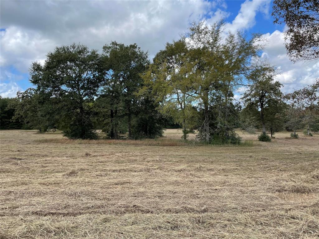10890 2 Fm 830 Road, Willis, Texas 77318, 3 Bedrooms Bedrooms, 10 Rooms Rooms,2 BathroomsBathrooms,Country Homes/acreage,For Sale,Fm 830,73801568