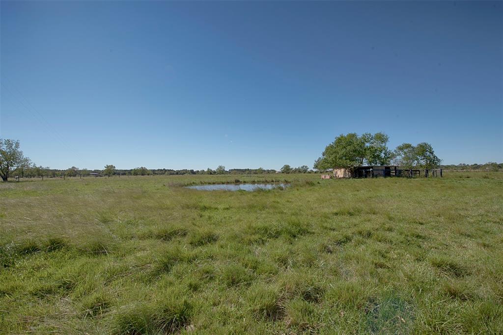 4004 1 FM 2917 Road, Alvin, Texas 77511, 2 Bedrooms Bedrooms, 7 Rooms Rooms,2 BathroomsBathrooms,Country Homes/acreage,For Sale,FM 2917,97947827