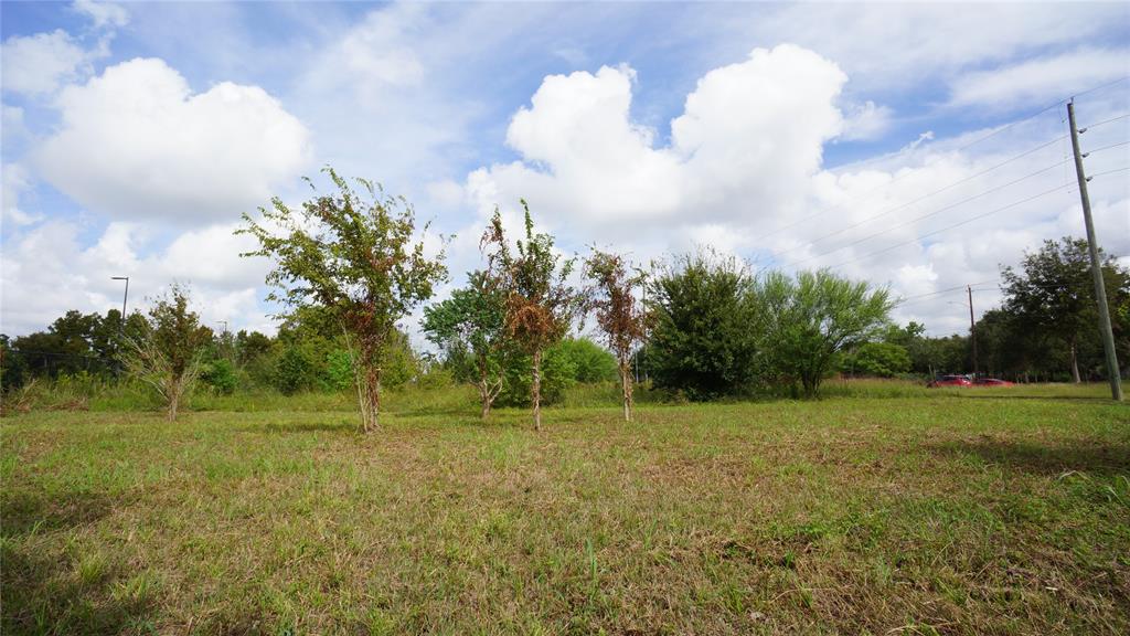 0 Gessner Road, Houston, Texas 77071, ,Lots,For Sale,Gessner,51272754