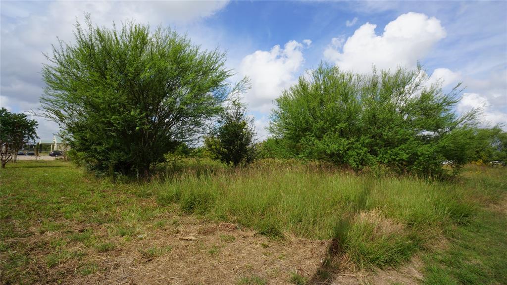 0 Gessner Road, Houston, Texas 77071, ,Lots,For Sale,Gessner,51272754