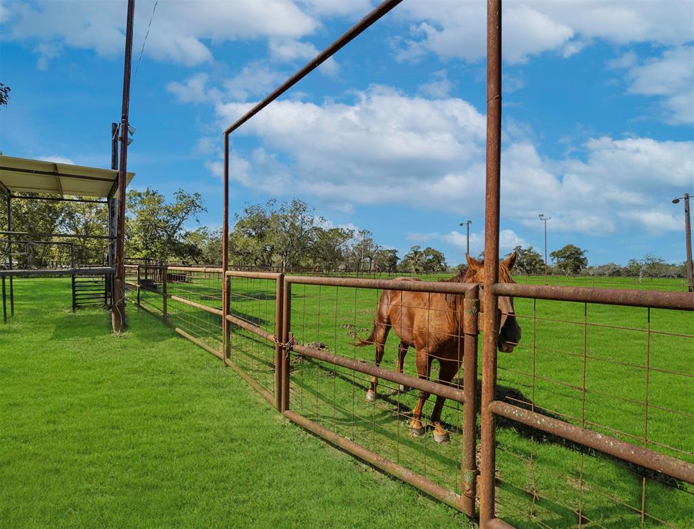 3131 1.5 Brundrett Road, Simonton, Texas 77476, 3 Bedrooms Bedrooms, 12 Rooms Rooms,3 BathroomsBathrooms,Country Homes/acreage,For Sale,Brundrett,82022177