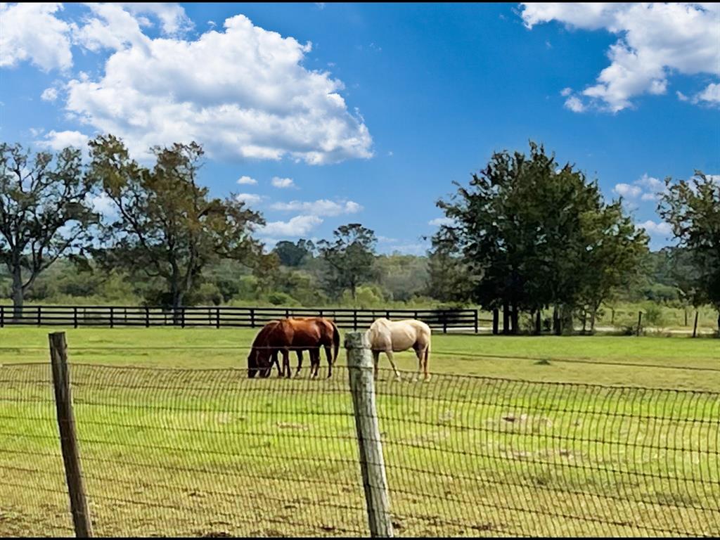 3131 1.5 Brundrett Road, Simonton, Texas 77476, 3 Bedrooms Bedrooms, 12 Rooms Rooms,3 BathroomsBathrooms,Country Homes/acreage,For Sale,Brundrett,82022177