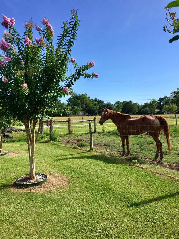 2325/2323 2 Westward Avenue, La Marque, Texas 77568, 1 Bedroom Bedrooms, 6 Rooms Rooms,1 BathroomBathrooms,Single-family,For Sale,Westward,77708733
