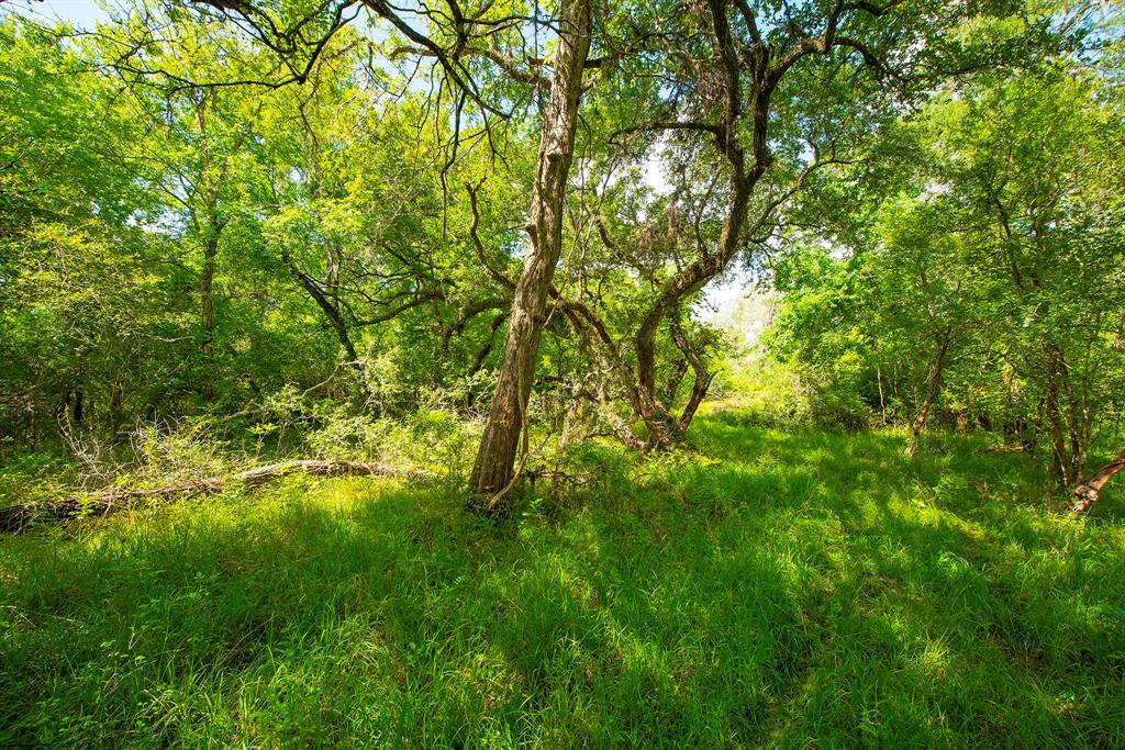 1795 1 County Road 30, Angleton, Texas 77515, 3 Bedrooms Bedrooms, 6 Rooms Rooms,2 BathroomsBathrooms,Single-family,For Sale,County Road 30,56552967