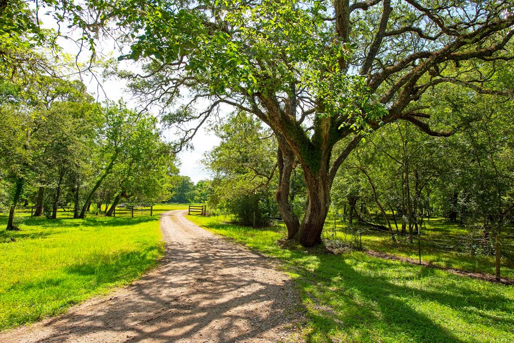 1795 1 County Road 30, Angleton, Texas 77515, 3 Bedrooms Bedrooms, 6 Rooms Rooms,2 BathroomsBathrooms,Single-family,For Sale,County Road 30,56552967