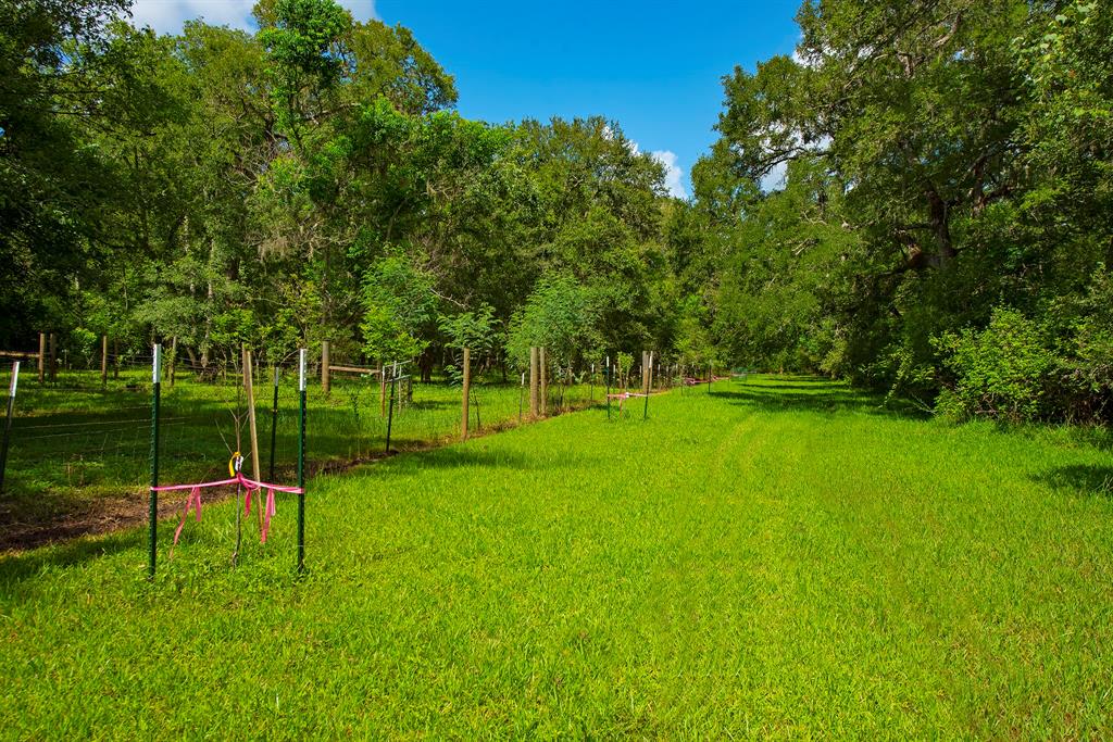1795 1 County Road 30, Angleton, Texas 77515, 3 Bedrooms Bedrooms, 6 Rooms Rooms,2 BathroomsBathrooms,Single-family,For Sale,County Road 30,56552967