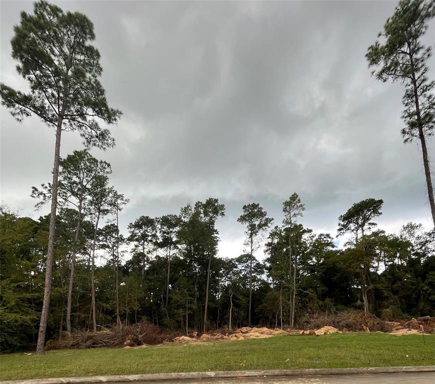 153 1 Pine Branch, Montgomery, Texas 77356, 4 Bedrooms Bedrooms, 7 Rooms Rooms,4 BathroomsBathrooms,Single-family,For Sale,Pine Branch,65126656