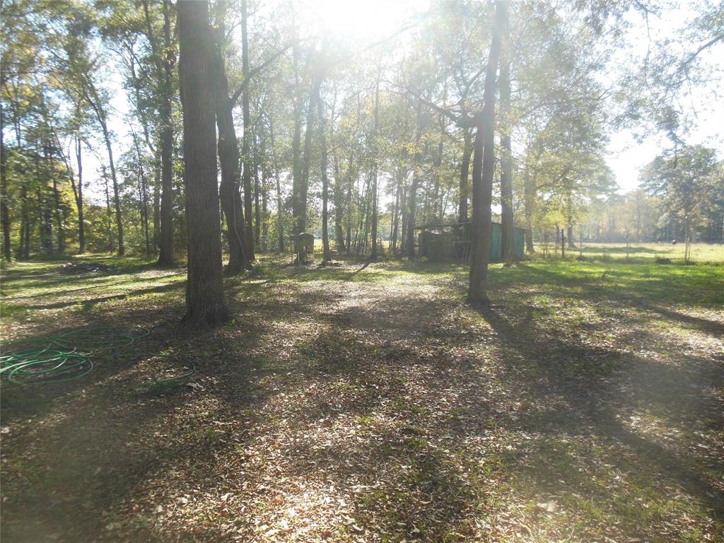 3914 2 Pamela Way Drive, Montgomery, Texas 77316, 3 Bedrooms Bedrooms, 6 Rooms Rooms,1 BathroomBathrooms,Single-family,For Sale,Pamela Way,65182541