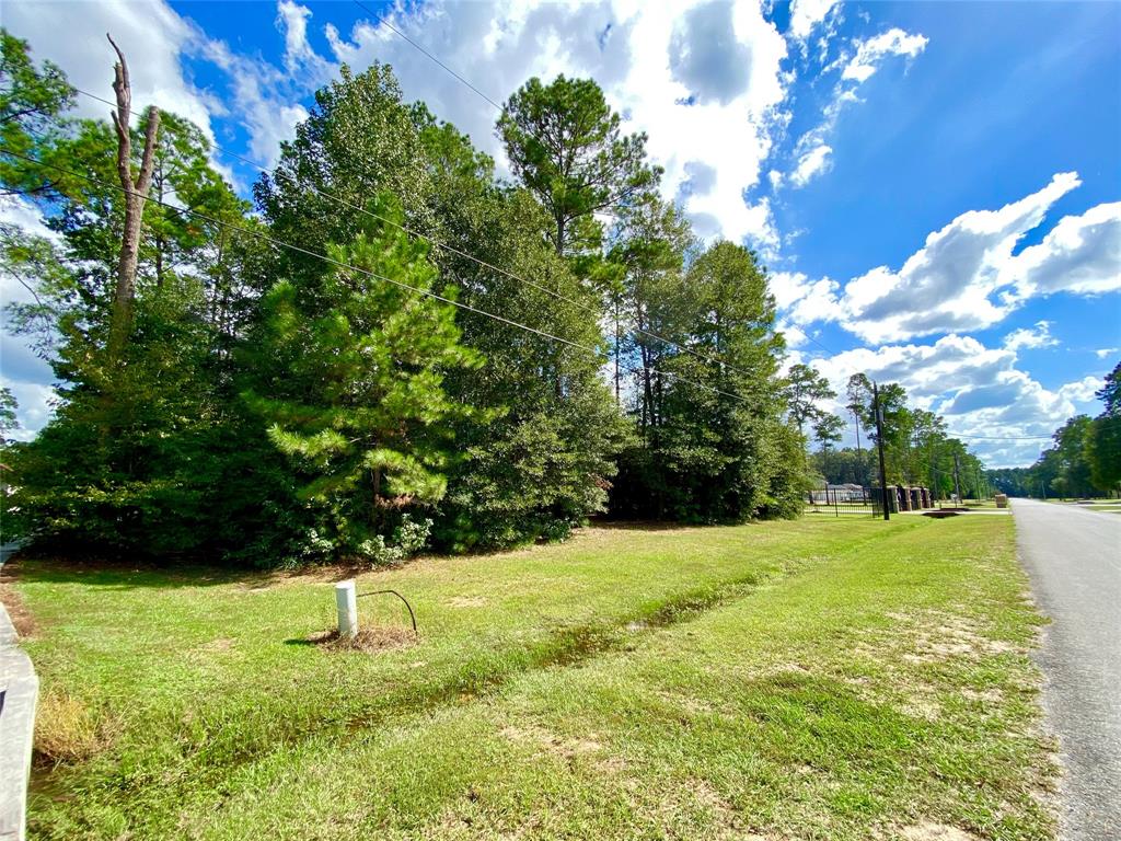 22717 Sonora Drive, Porter, Texas 77365, ,Lots,For Sale,Sonora,53099860