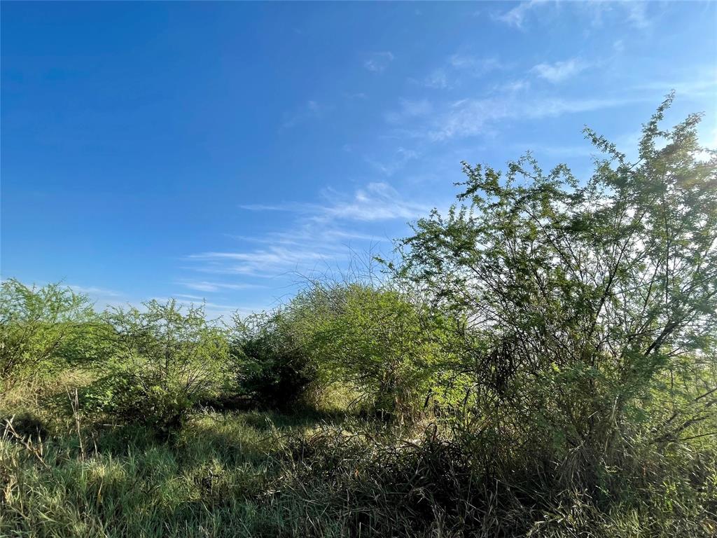 Lot 15 Cannon North Drive, Gonzales, TX 78629