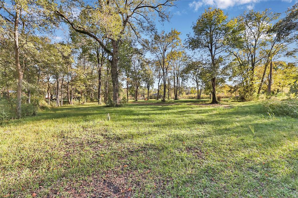 17217 1 Dutch Road, New Waverly, Texas 77358, 3 Bedrooms Bedrooms, 4 Rooms Rooms,2 BathroomsBathrooms,Single-family,For Sale,Dutch,48953796