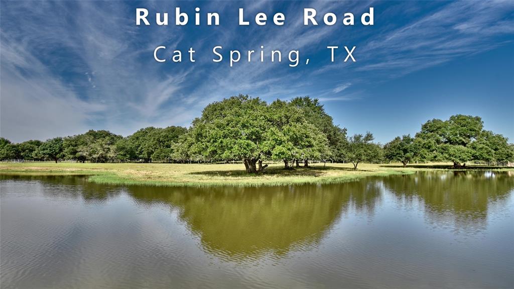 000 Rubin Lee Lane, Cat Spring, TX 78933