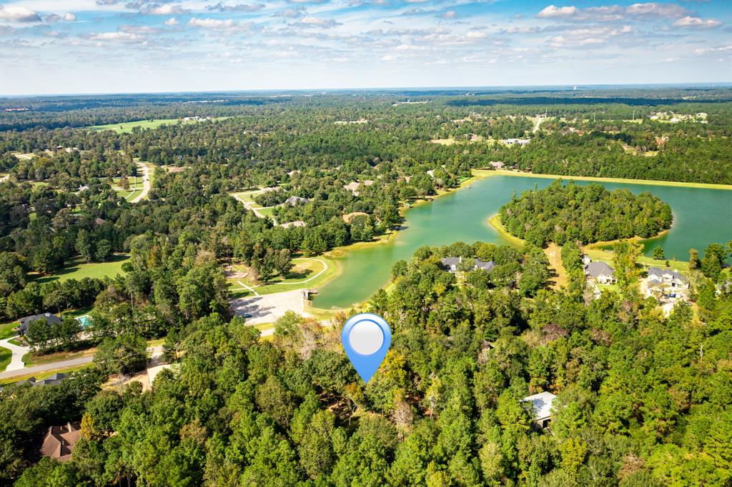 8577 Majestic Lake Court, Montgomery, Texas 77316, ,Lots,For Sale,Majestic Lake,74653540