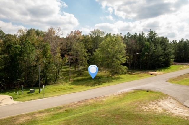 8577 Majestic Lake Court, Montgomery, Texas 77316, ,Lots,For Sale,Majestic Lake,74653540