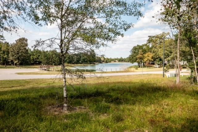 8577 Majestic Lake Court, Montgomery, Texas 77316, ,Lots,For Sale,Majestic Lake,74653540