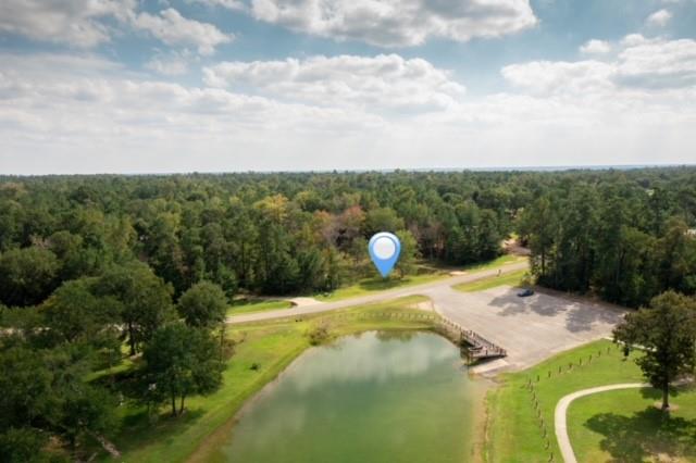 8577 Majestic Lake Court, Montgomery, Texas 77316, ,Lots,For Sale,Majestic Lake,74653540