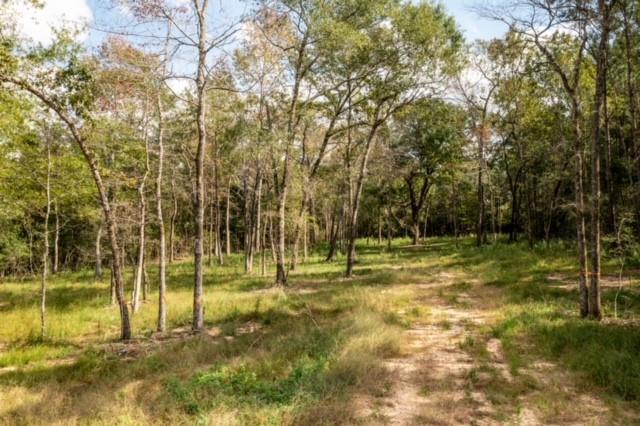 8577 Majestic Lake Court, Montgomery, Texas 77316, ,Lots,For Sale,Majestic Lake,74653540