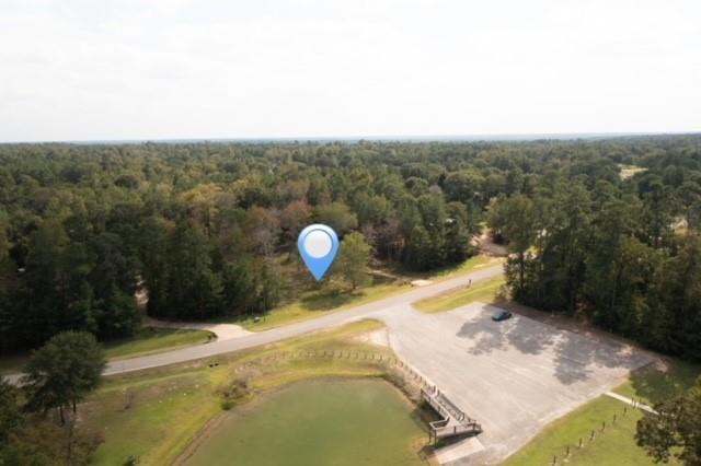 8577 Majestic Lake Court, Montgomery, Texas 77316, ,Lots,For Sale,Majestic Lake,74653540