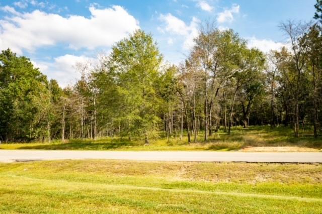 8577 Majestic Lake Court, Montgomery, Texas 77316, ,Lots,For Sale,Majestic Lake,74653540