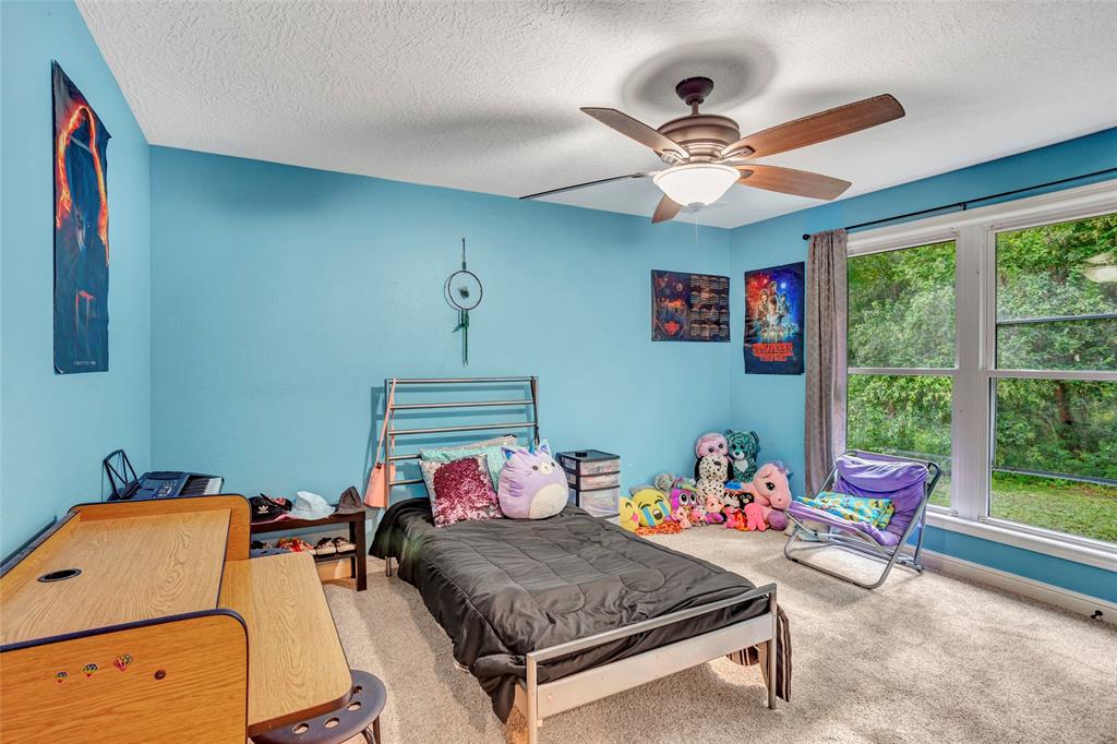 6000 2 Pine Tree Trail, Alvin, Texas 77511, 8 Bedrooms Bedrooms, 20 Rooms Rooms,5 BathroomsBathrooms,Single-family,For Sale,Pine Tree,53550370
