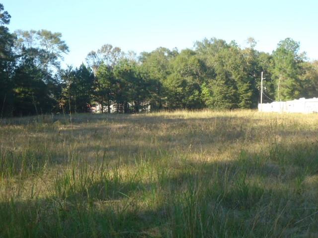 27100 Brentwood Road, Splendora, Texas 77372, ,Lots,For Sale,Brentwood,19230456