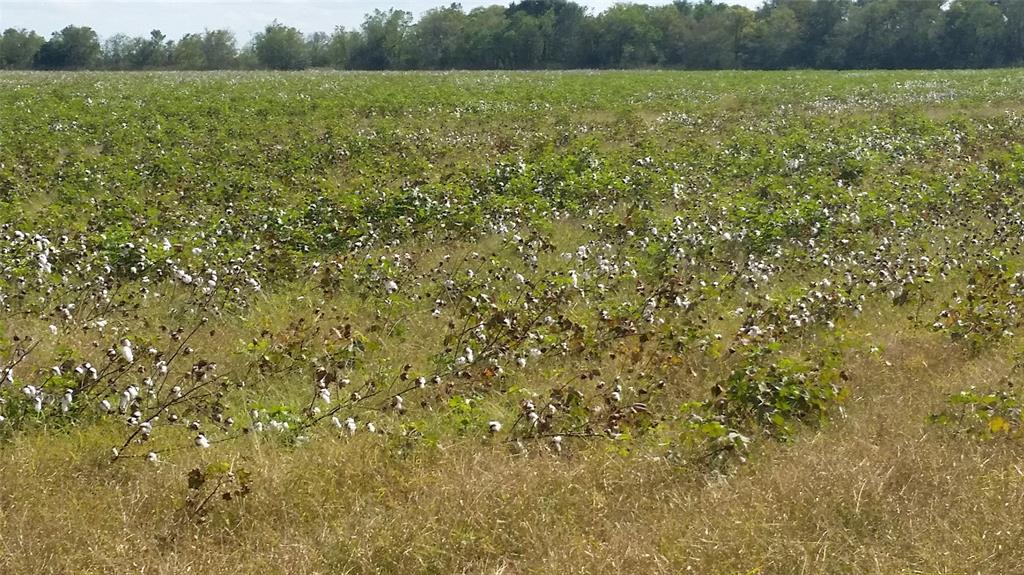 0 County Road 15 Off Pvt Road, Damon, Texas 77430, ,Lots,For Sale,County Road 15 Off Pvt,63749910