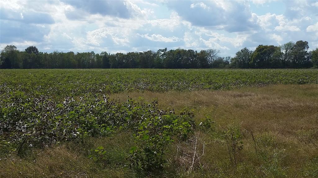 0 County Road 15 Off Pvt Road, Damon, Texas 77430, ,Lots,For Sale,County Road 15 Off Pvt,63749910