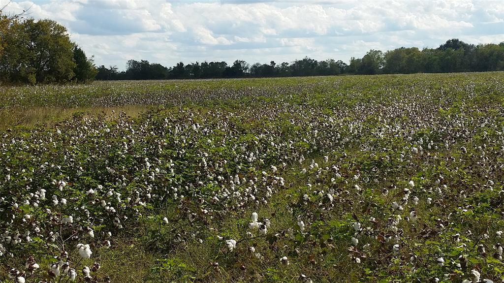 0 County Road 15 Off Pvt Road, Damon, Texas 77430, ,Lots,For Sale,County Road 15 Off Pvt,63749910