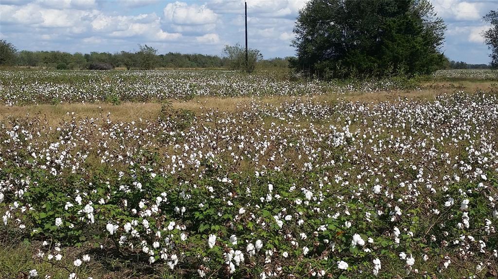 0 County Road 15 Off Pvt Road, Damon, Texas 77430, ,Lots,For Sale,County Road 15 Off Pvt,63749910