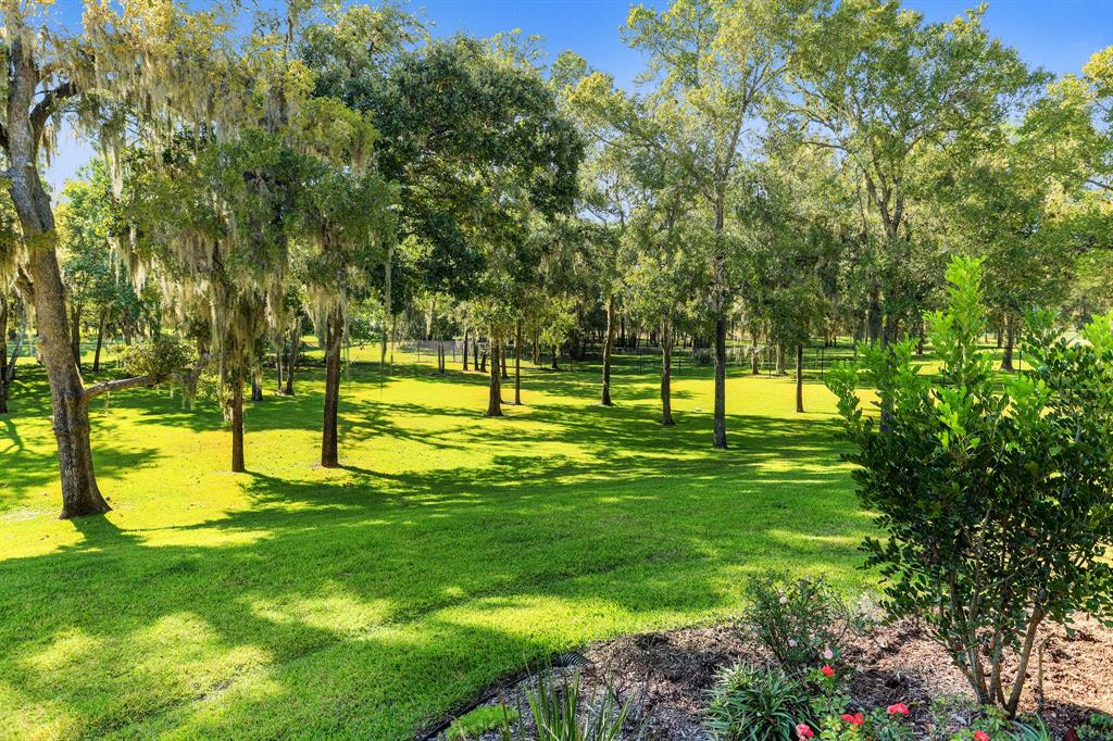 6803 2 Whitehill Lane, Richmond, Texas 77406, 6 Bedrooms Bedrooms, 27 Rooms Rooms,7 BathroomsBathrooms,Single-family,For Sale,Whitehill,63564811
