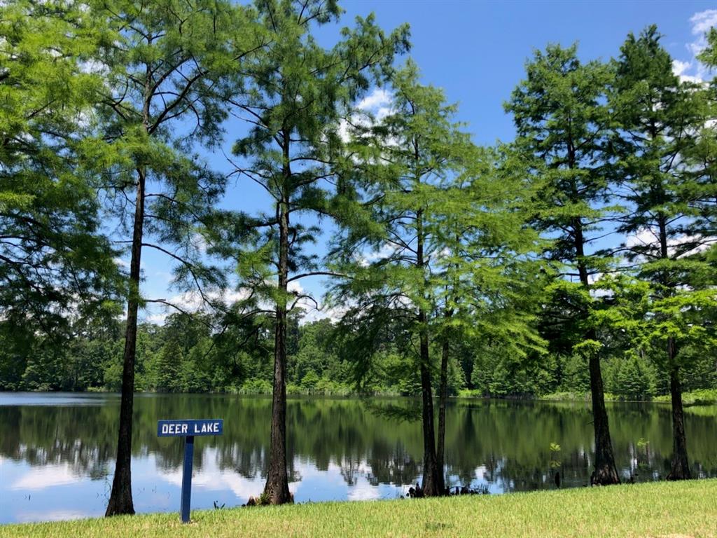 543 1 Chestnut Reef Court, Conroe, Texas 77304, 3 Bedrooms Bedrooms, 8 Rooms Rooms,3 BathroomsBathrooms,Single-family,For Sale,Chestnut Reef,53056274