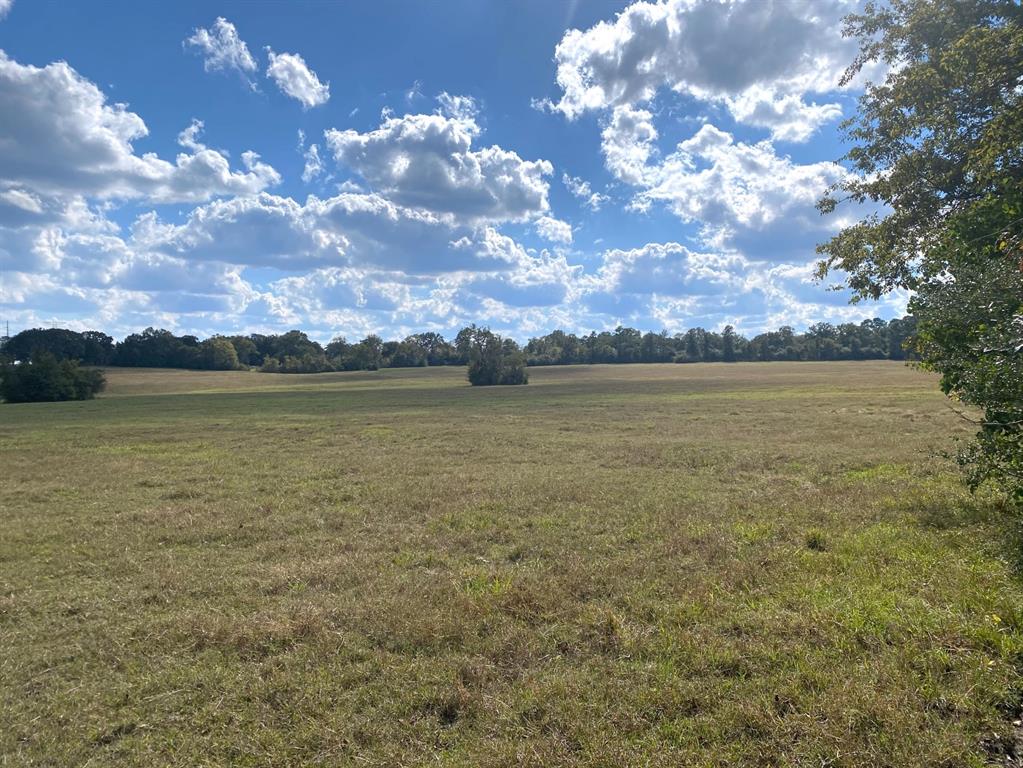 tbd 002 Hwy 105, Montgomery, Texas 77316, ,Lots,For Sale,Hwy 105,16171928