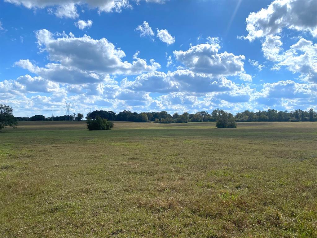 tbd 002 Hwy 105, Montgomery, Texas 77316, ,Lots,For Sale,Hwy 105,16171928