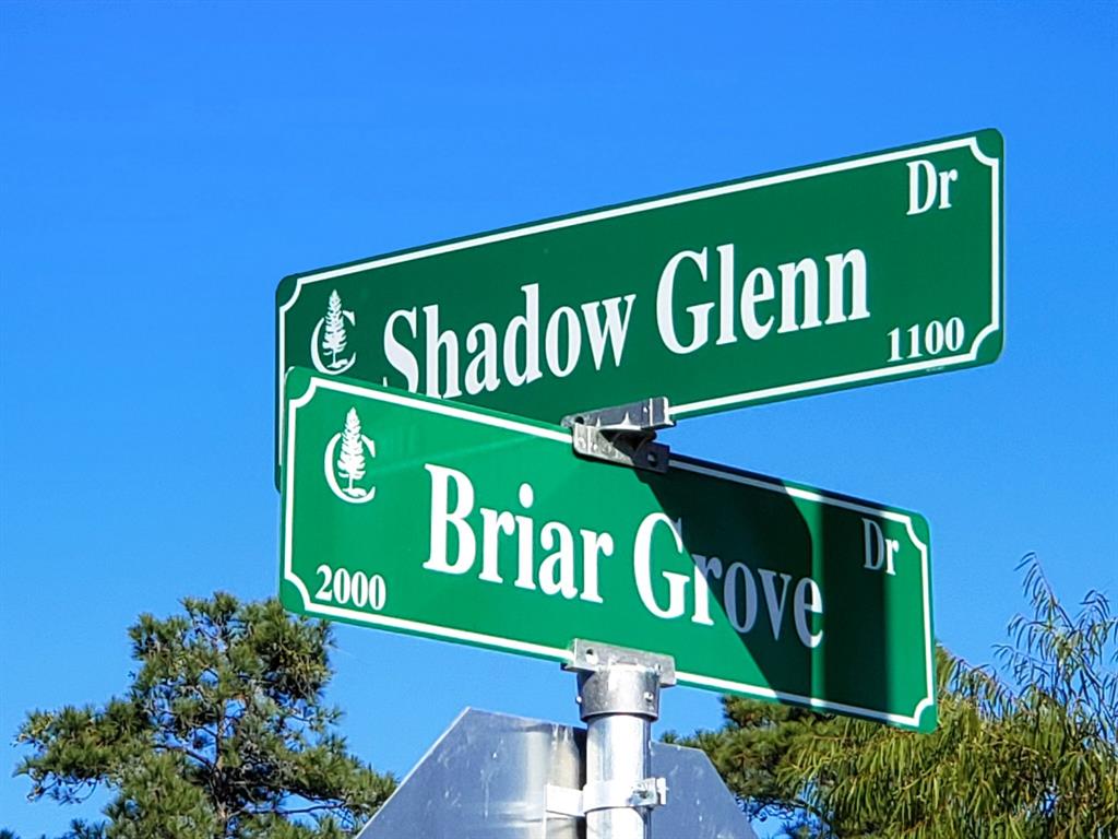 2075 Briar Grove Drive , Conroe, Texas image 11