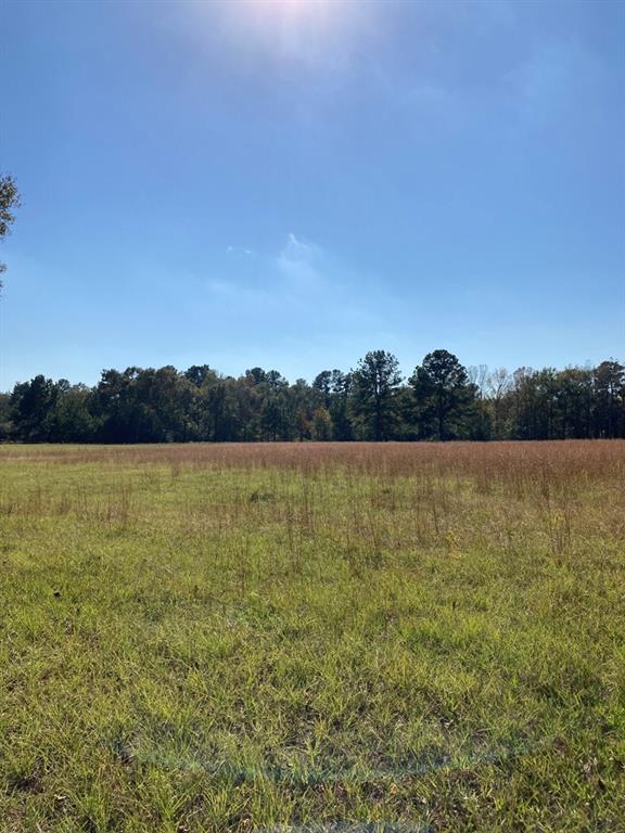 1004 Kelley Road, Conroe, Texas 77303, ,Lots,For Sale,Kelley,76942624
