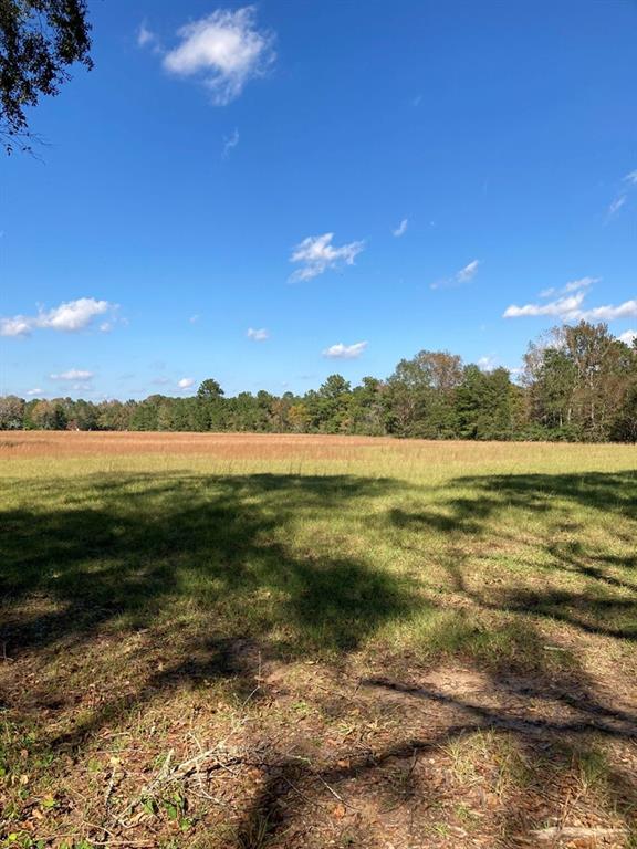 1004 Kelley Road, Conroe, Texas 77303, ,Lots,For Sale,Kelley,76942624