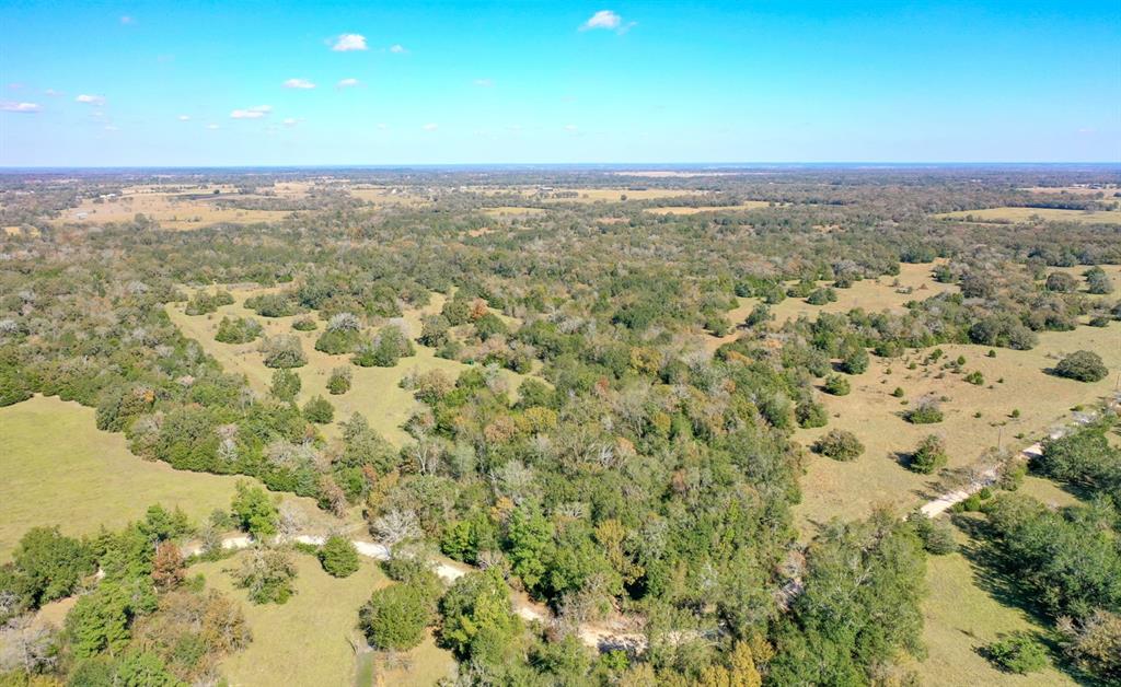TBD  Wiseman Road Midway Texas 75852, 52