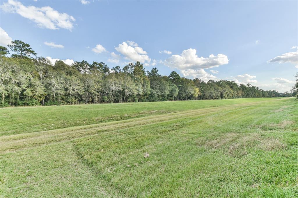 29011 2 Birch Green Way, Spring, Texas 77386, 5 Bedrooms Bedrooms, 5 Rooms Rooms,2 BathroomsBathrooms,Single-family,For Sale,Birch Green,77713392