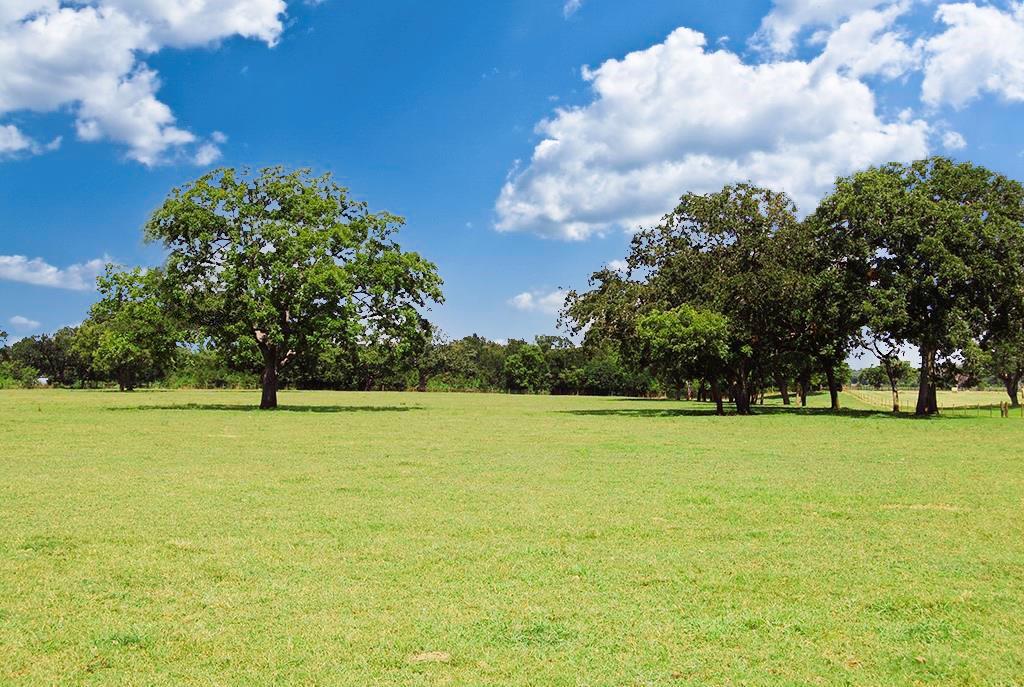 0 Brundrett Road, Simonton, Texas 77476, ,Country Homes/acreage,For Sale,Brundrett,24832826