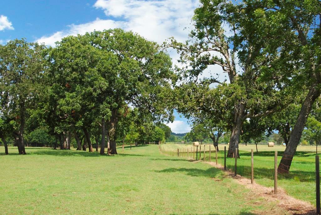 0 Brundrett Road, Simonton, Texas 77476, ,Country Homes/acreage,For Sale,Brundrett,24832826