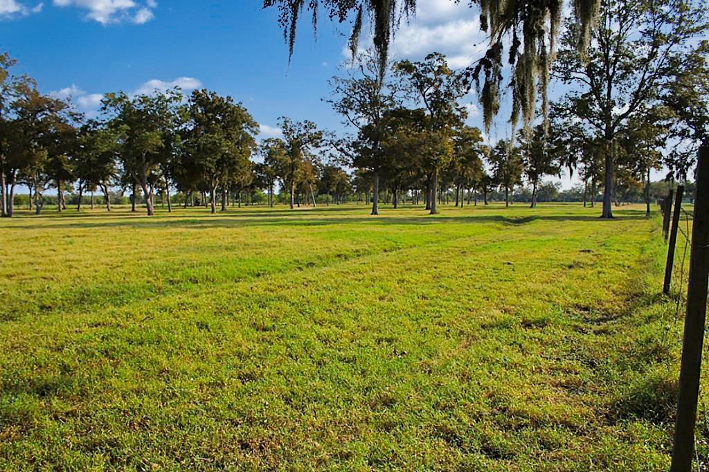 0 Brundrett Road, Simonton, Texas 77476, ,Country Homes/acreage,For Sale,Brundrett,24832826