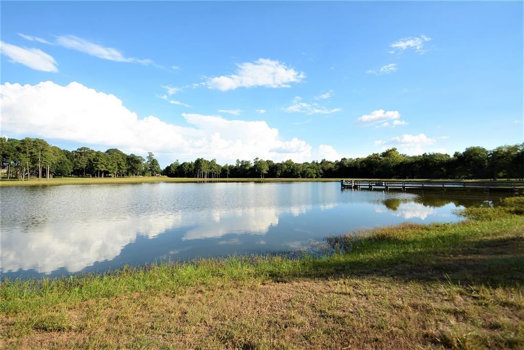 5450 1.5 Honea Egypt Road, Montgomery, Texas 77316, 4 Bedrooms Bedrooms, 11 Rooms Rooms,4 BathroomsBathrooms,Single-family,For Sale,Honea Egypt,86140938